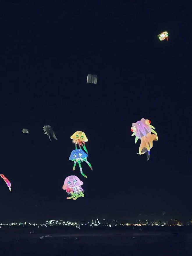 开云体育中国官网-关于城市夜光水上风筝节，灯火闪耀中的空中盛会的信息