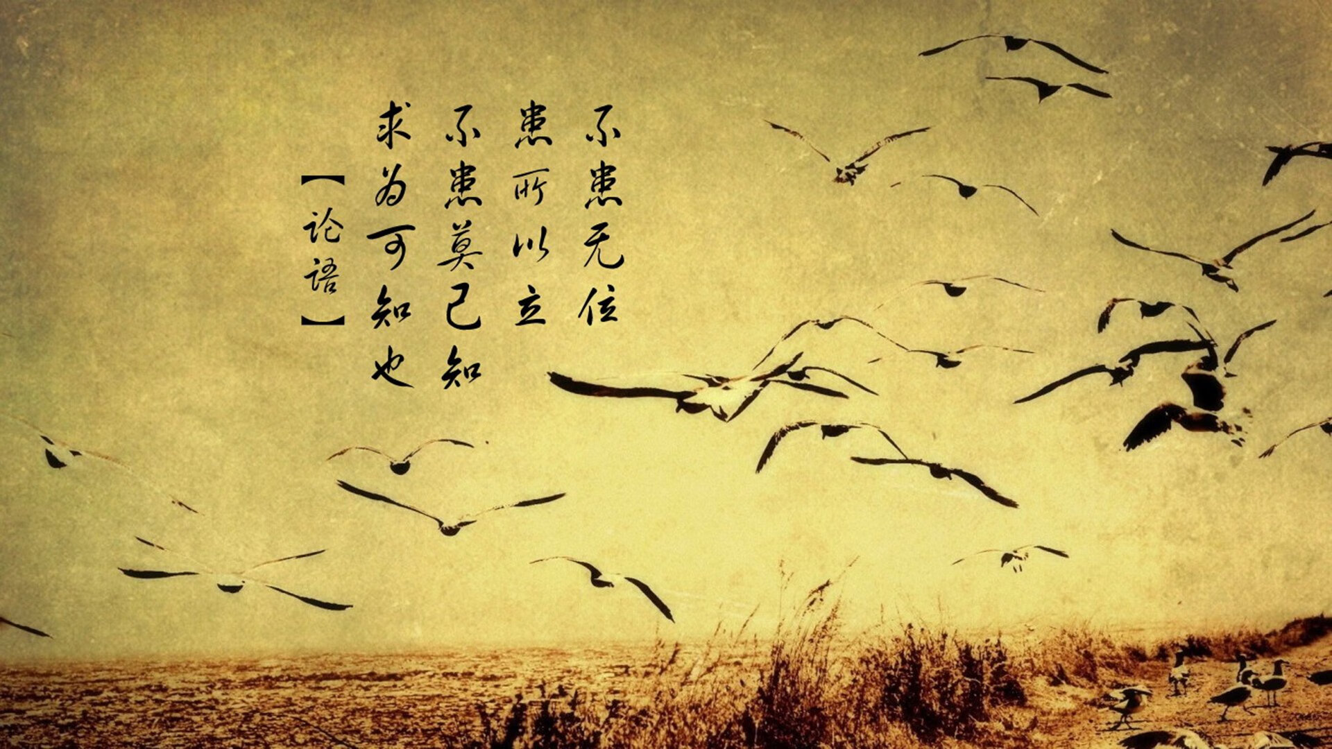 KAIYUNAPP-_传统体育文化节：弘扬民族体育精神_，弘扬中华民族传统体育文化