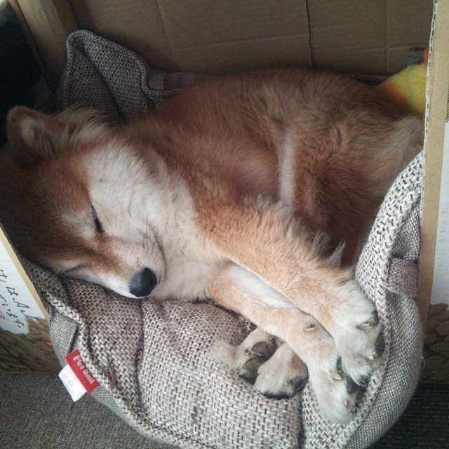 _传统体育文化长廊:精彩展现民族体育魅力_,体育 传统文化