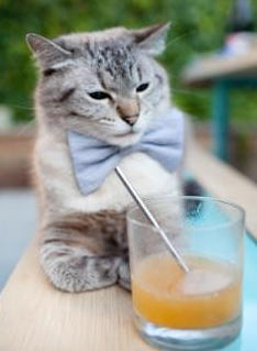 _最强对决:世界排名第一 vs. 新兴黑马_,史上最强对阵