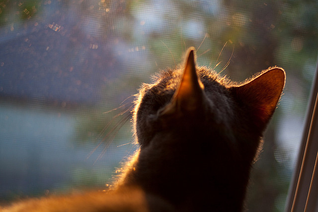 kaiyun体育综合-《Dota 2TI14总决赛，天王战队阿卡姆强势逆转》，dota2 am