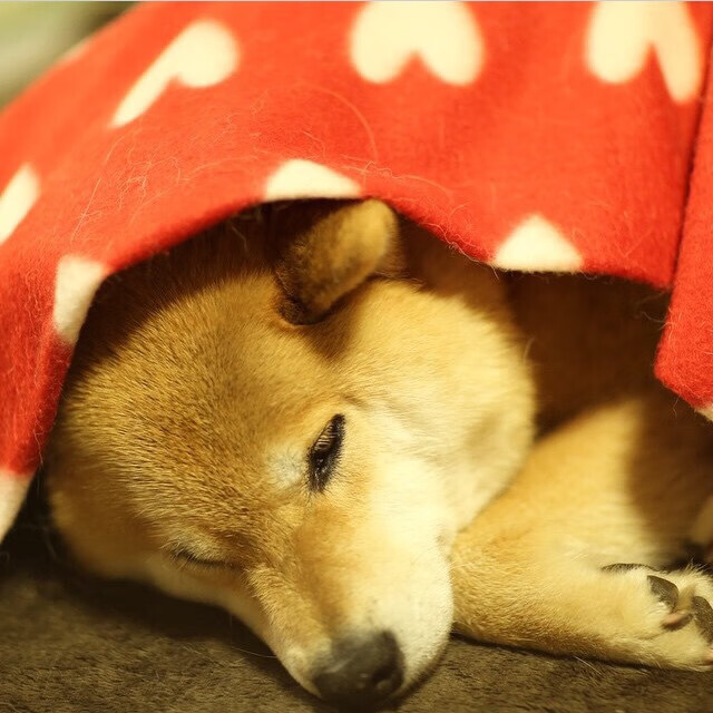 最佳配角:场上配角的闪耀时刻,最佳配角电影