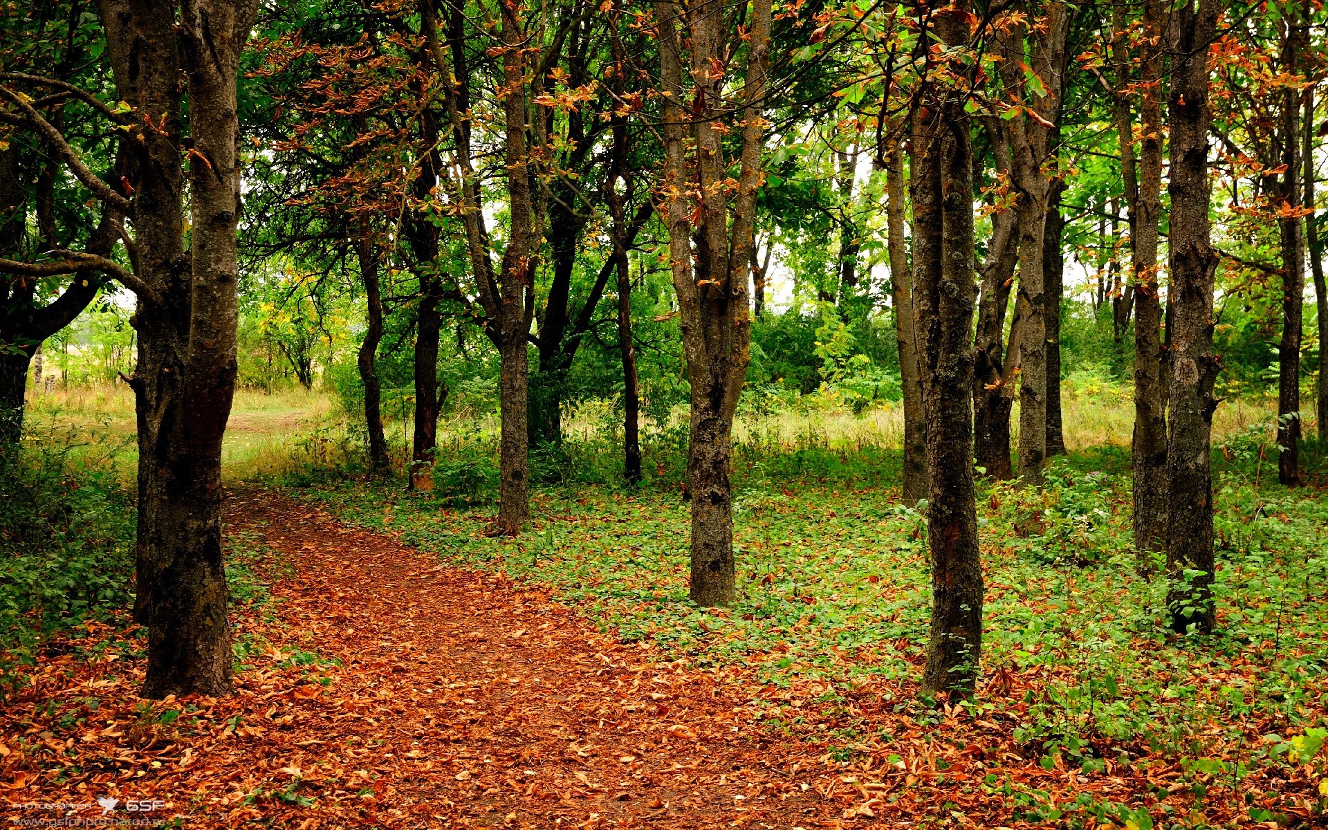 kaiyun体育app-荷兰女足在预选赛中表现不佳，未能晋级巴黎，荷兰女足首发阵容