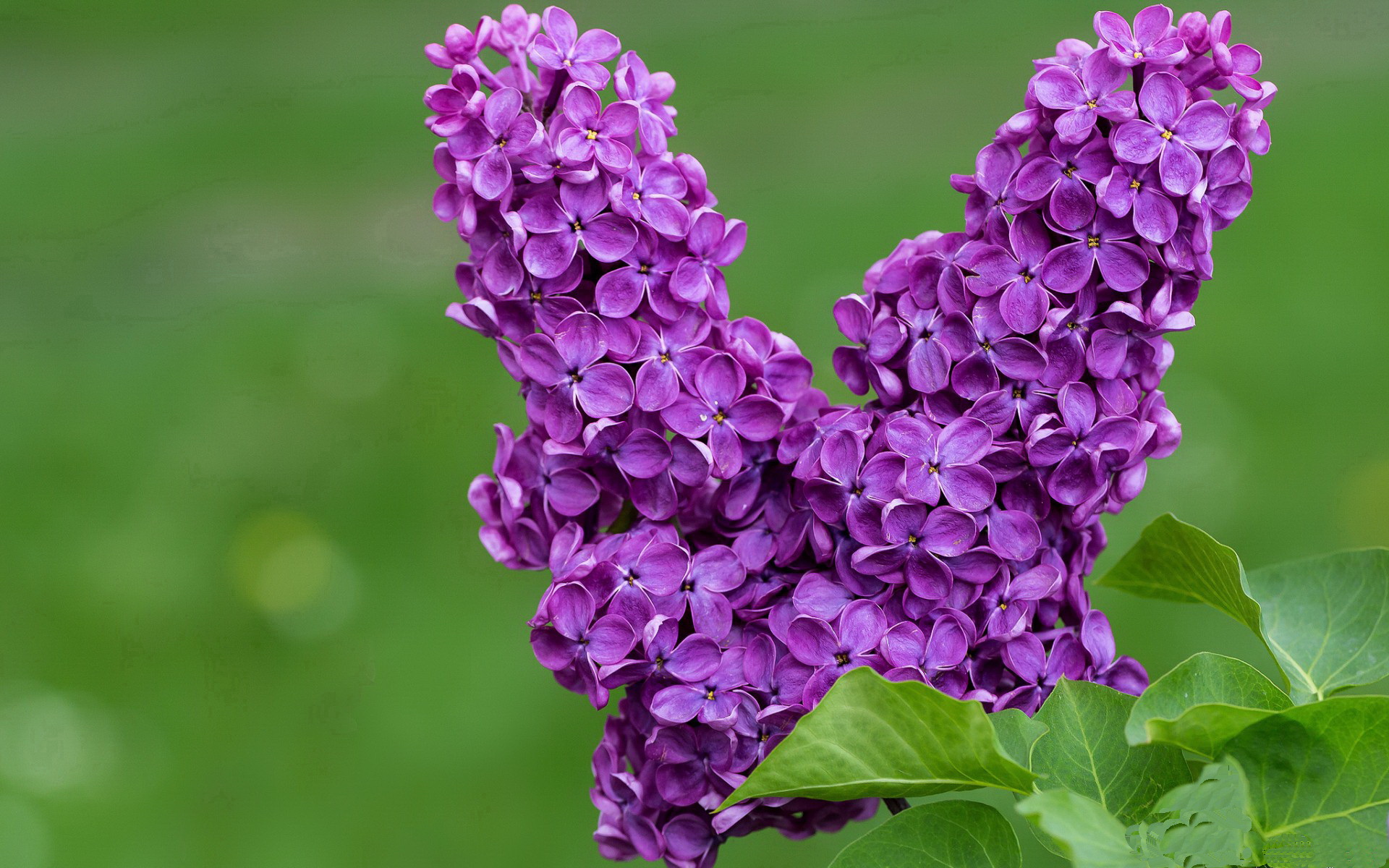 kaiyun网站-Gen.G赛事运营能力持续提升，赛事运营前景