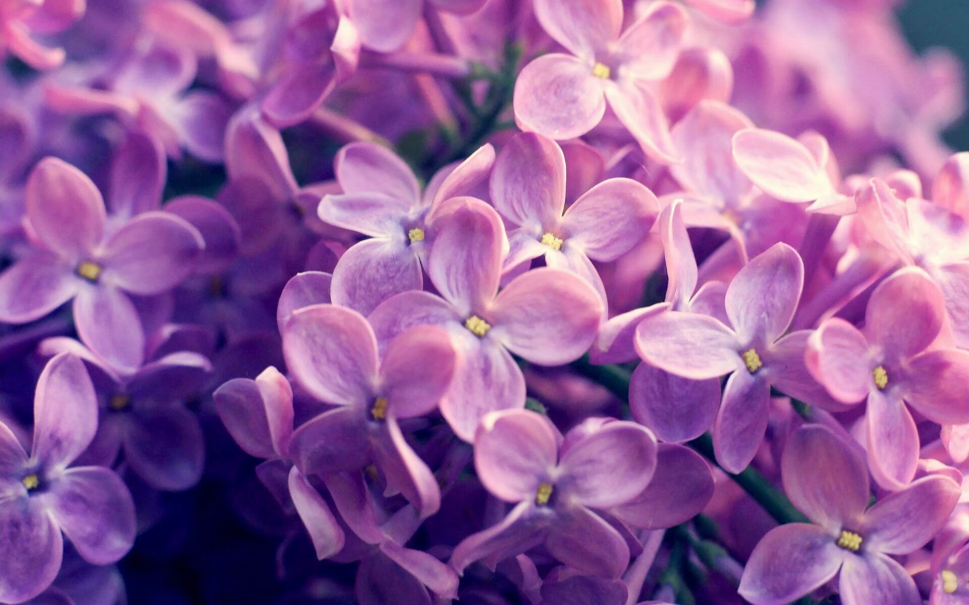 开云在线直播-全北现代防守端表现稳固，直播_全北现代vs