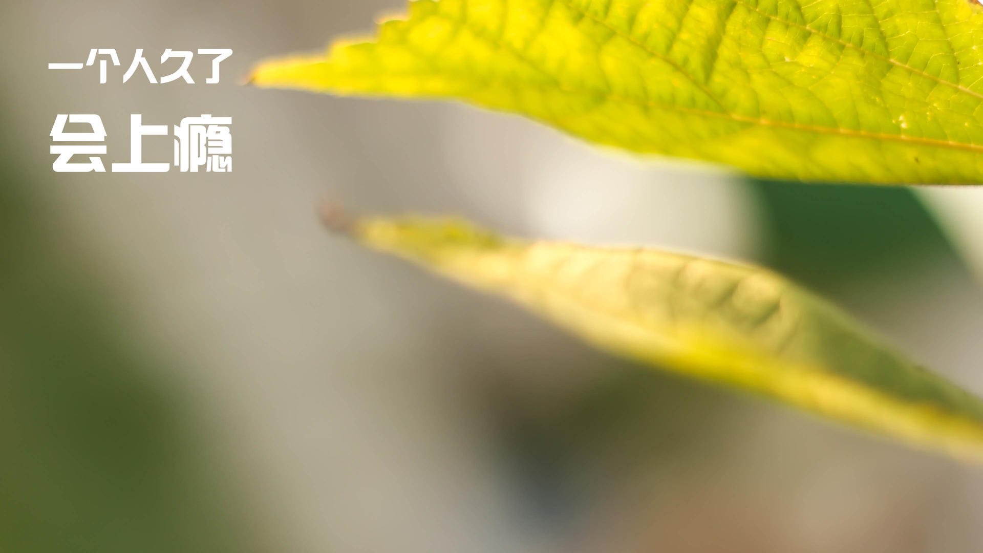 球队在比赛中打出高效率,取得胜利,面对这么多的困难,球队怎么能赢得比赛呢_