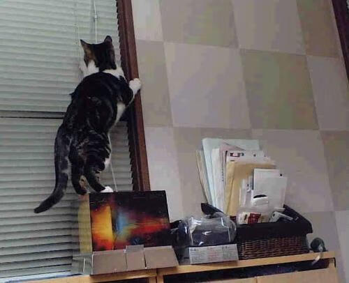 开云官网在线-雄鹿主场大胜掘金，安特托昆博发威狂砍精华集锦，雄鹿队 塔克