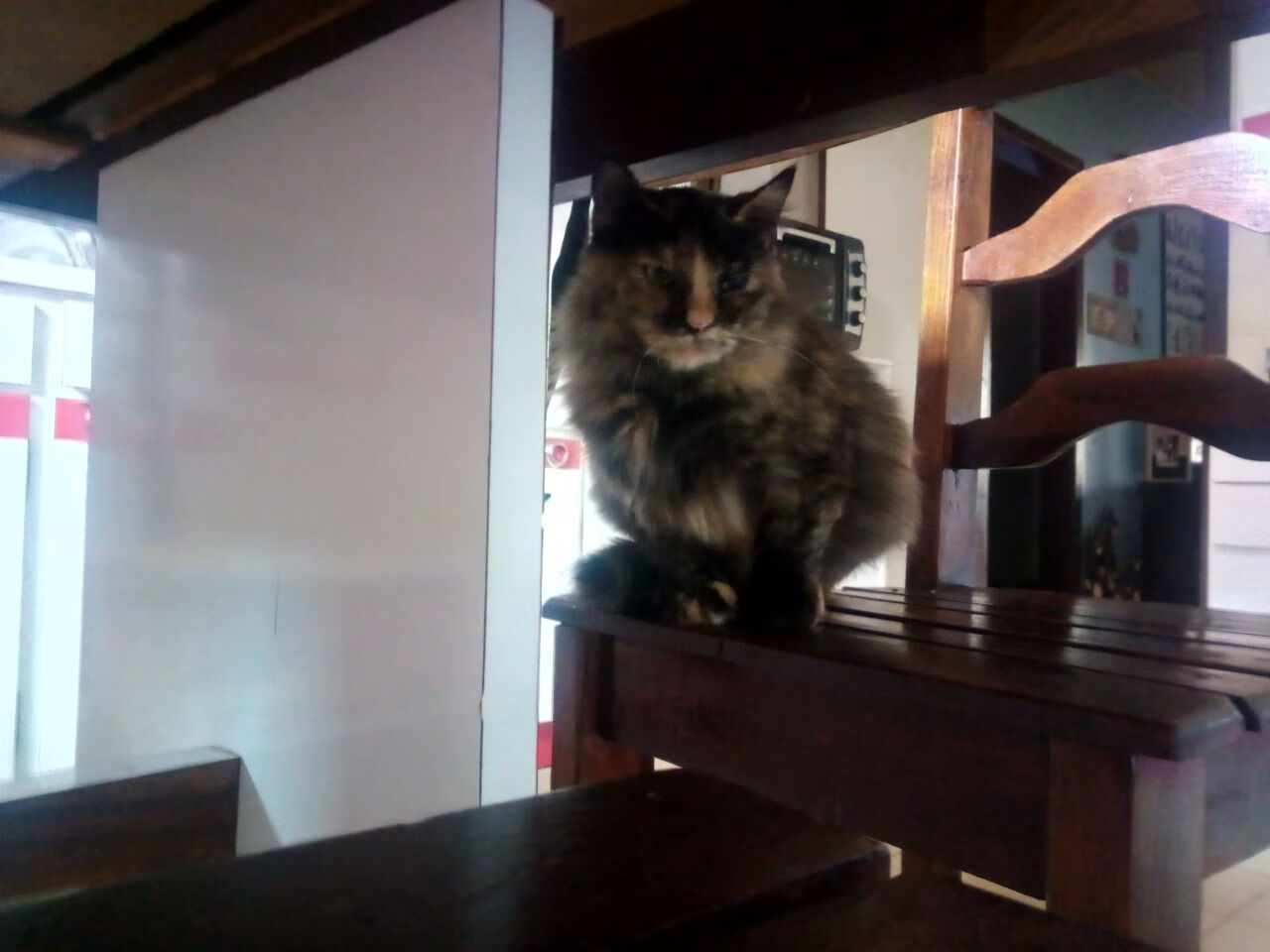 开云体育视频直播-德甲球队高强度对抗期间体能消耗与技术表现关联，德甲防守最好的球队