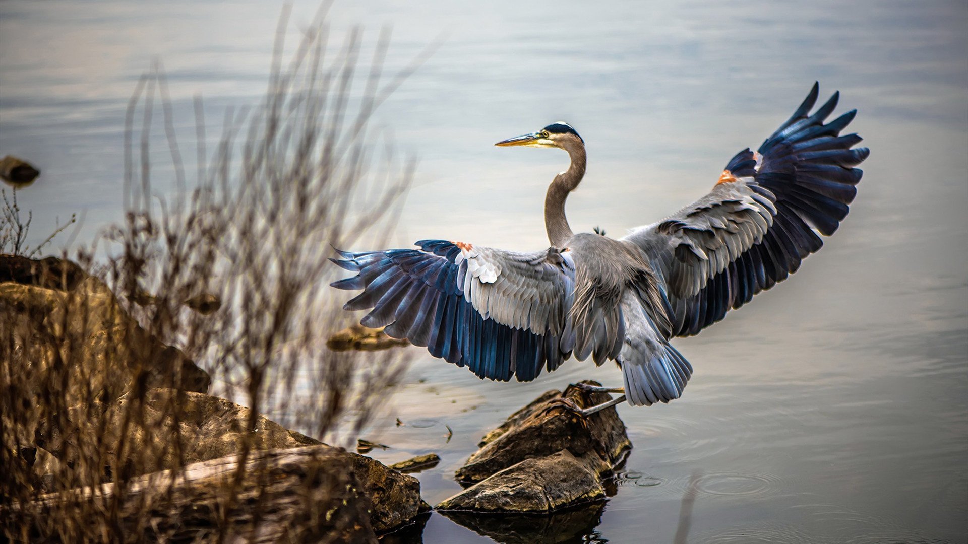 开云官网APP下载-本土教练缺乏高水平执教实战平台，有的教练通过率低原因