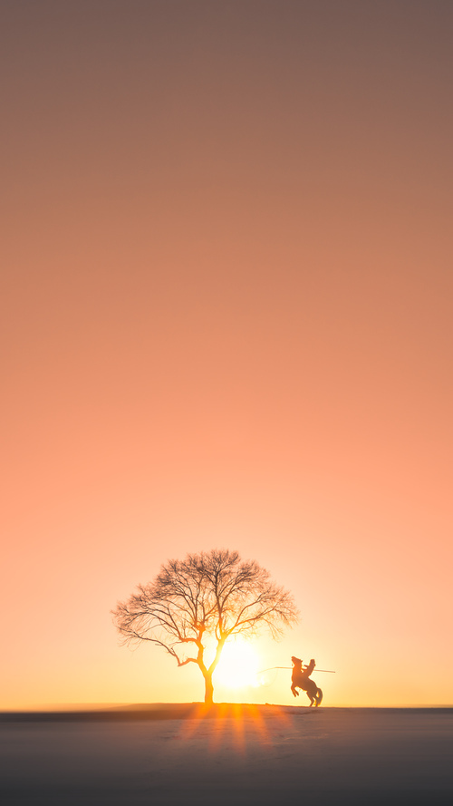 kaiyun网站-男子蝶泳荷兰强将展身手，男子蝶泳金牌