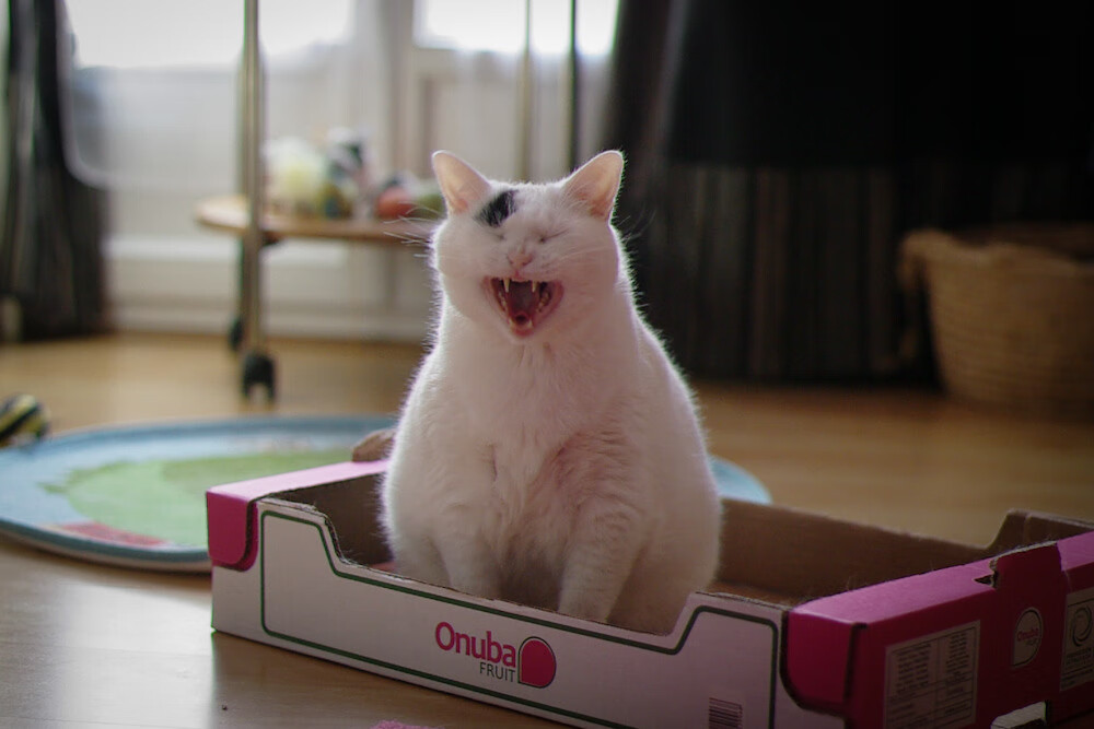 开云网站-西甲精彩绝伦：攻防之间精彩绝伦！，西甲集锦视频