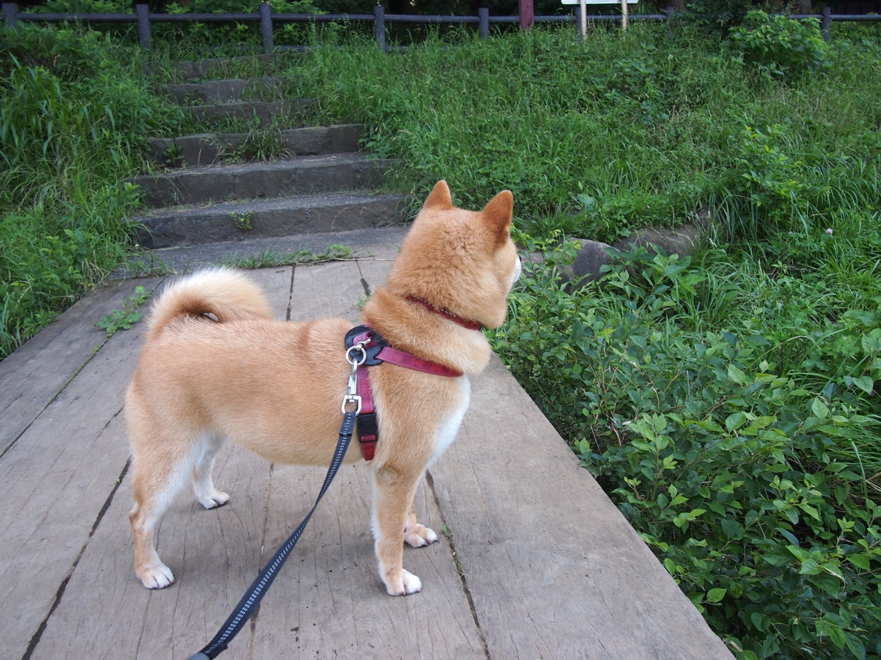 退役球员进军青训市场组建个性化教学小组服务中高端家庭