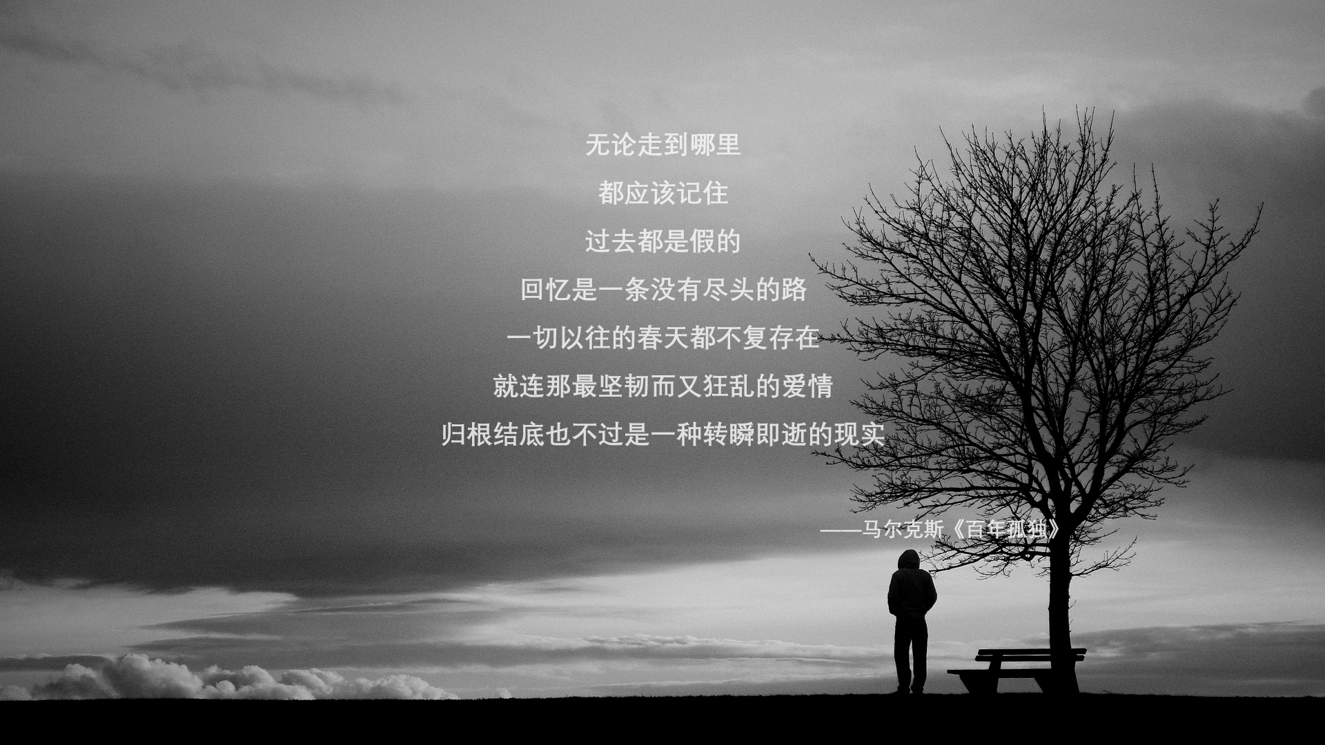 胡贝特·科斯技术动作完美助力夺冠,胡贝尔特